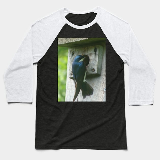 Swallow Bird Checking Out a Birdhouse Baseball T-Shirt by saradaboru